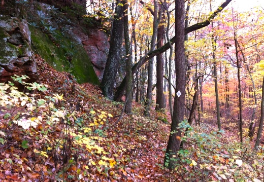 Sheltowee Trace, Clear Creek Furnace - 13